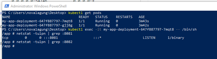 Deploy App into Minikube Cluster using Deployment controller, Service, and Horizontal Autoscaler - apply changes on deployment object